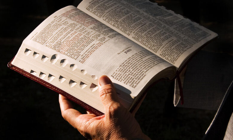 Traductores como Martín Lutero y William Tyndale acercaron la Biblia al pueblo, democratizando el conocimiento.