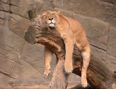 . Es importante una revisión adecuada de nuestra estabilidad emocional y mental para evitar males mayores.