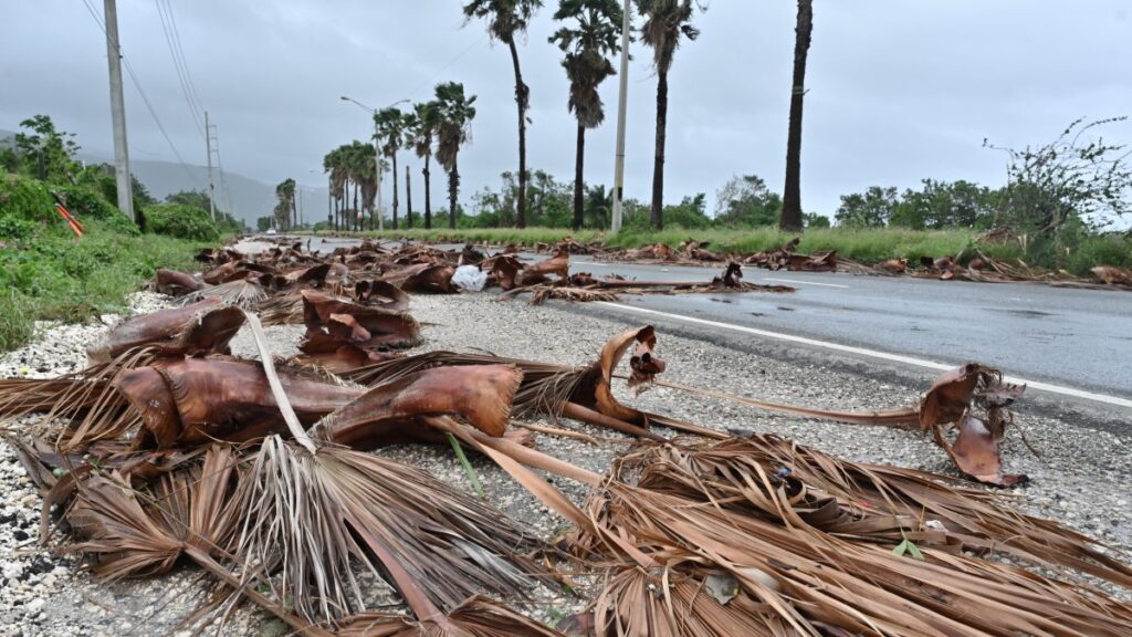 McKenzie describió los daños por Melissa en Saint Elizabeth como “extensos” y detalló que varias familias quedaron atrapadas en sus hogares en Black River.