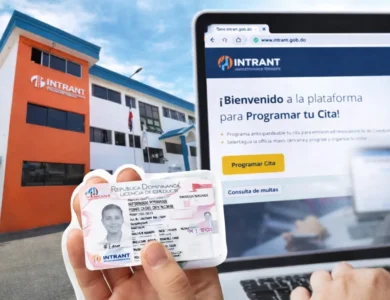 Desde el 9 de marzo: así pedirás tu licencia online