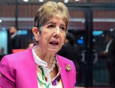 ournigal: “No podemos culpar a la Policía de toda la violencia”